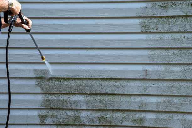 Affordable Siding Repair and Maintenance Services in Briarcliff Manor, NY